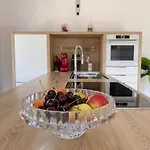 Apartament Maister