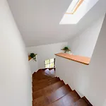 Apartament Maister Celje