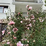 Apartament Maister *