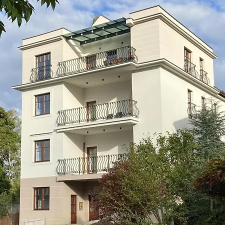 Maister Celje