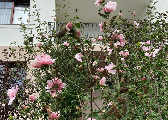 Apartamento Maister *